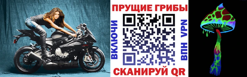 Галлюциногенные грибы ЛСД  Купить где  Суворов 