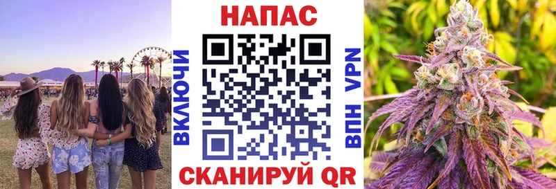 Бошки марихуана OG Kush  Купить где  Суворов 